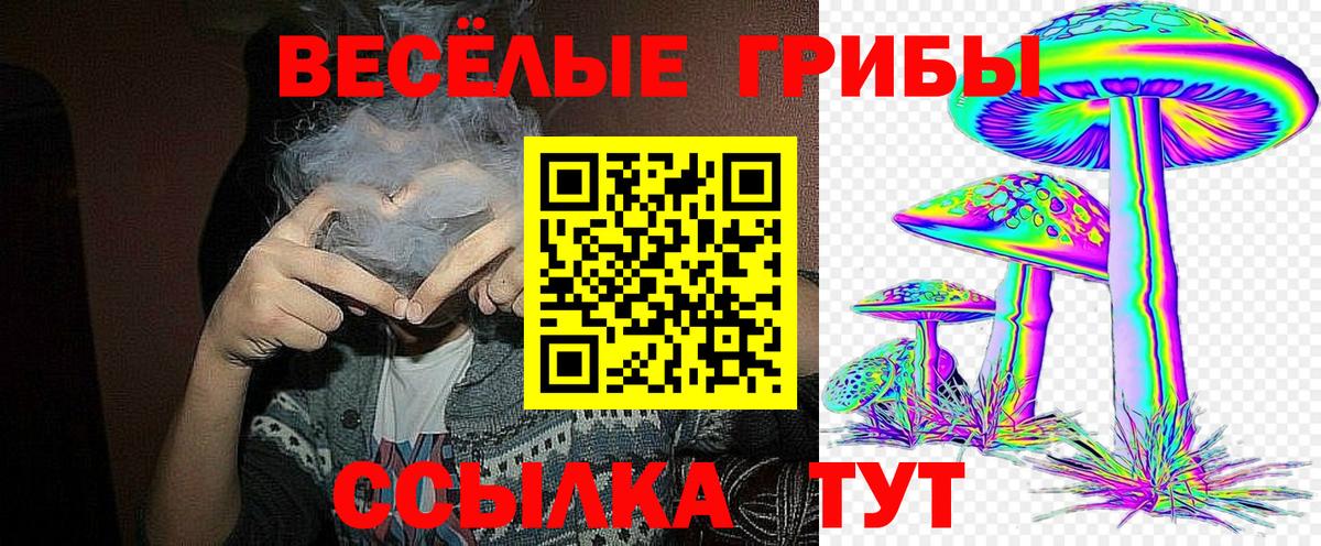 Псилоцибиновые грибы ЛСД  Вход с VPN  Богородск 